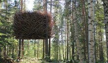 Lule&aring; and the Treehotel